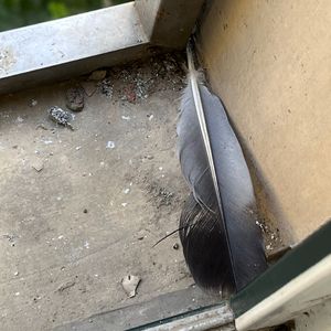 最新国产福利小视频在线观看
