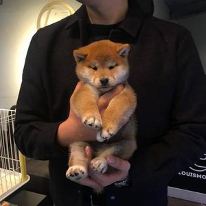 最新国产福利小视频在线观看
