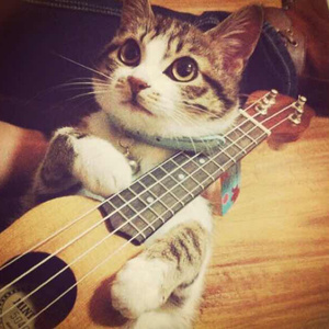 最新国产福利小视频在线观看
