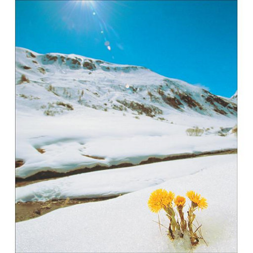 最新国产福利小视频在线观看
